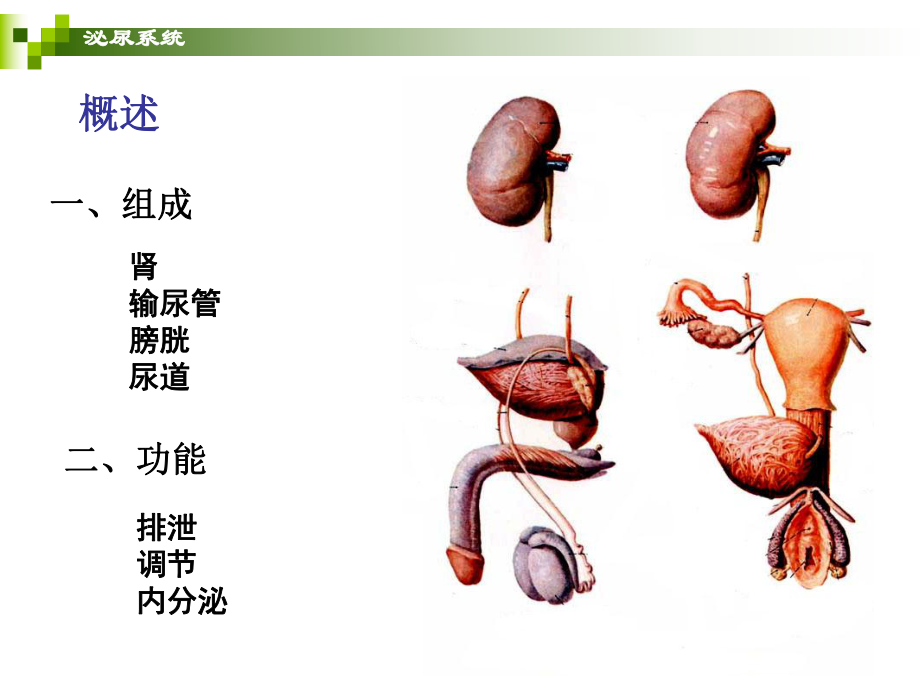 附近看男性科的医院川北医学院附属成都新华医院-男性健康问题的解决专家