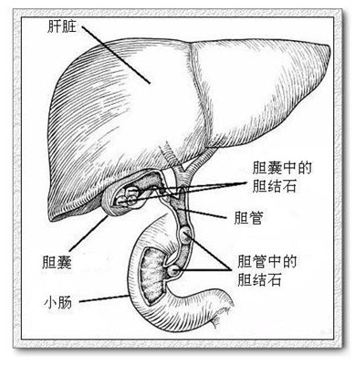 timg (3)_副本.jpg