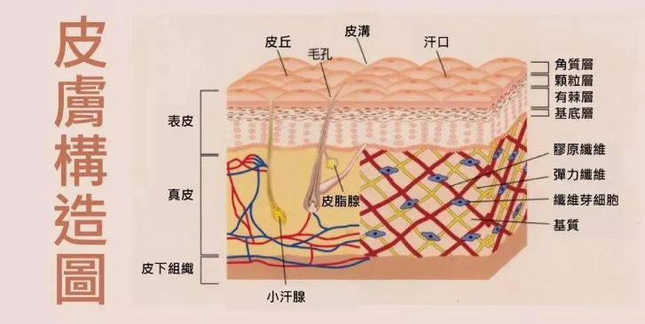 湿热皮肤病是什么症状