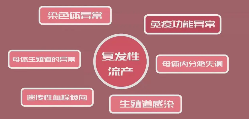 复发性流产需要检查哪些项目