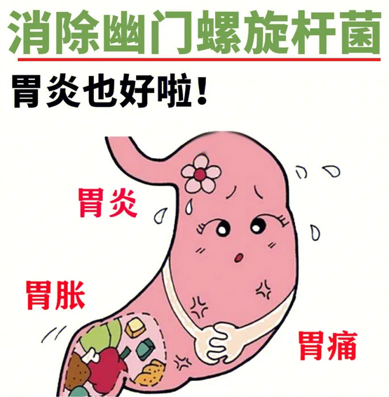 幽门螺旋杆菌是什么原因引起的|幽门螺旋杆菌：一场无声的“菌”战