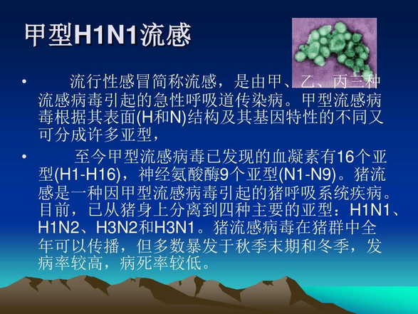 甲流感症状有哪些|甲流来袭，你知道如何应对吗?教你识别甲流感症状