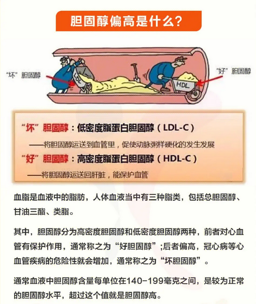 胆固醇偏高对身体有什么影响 