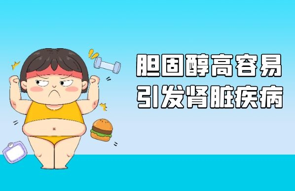 胆固醇偏高对身体有什么影响